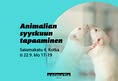 Animalia