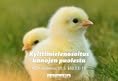 Animalia