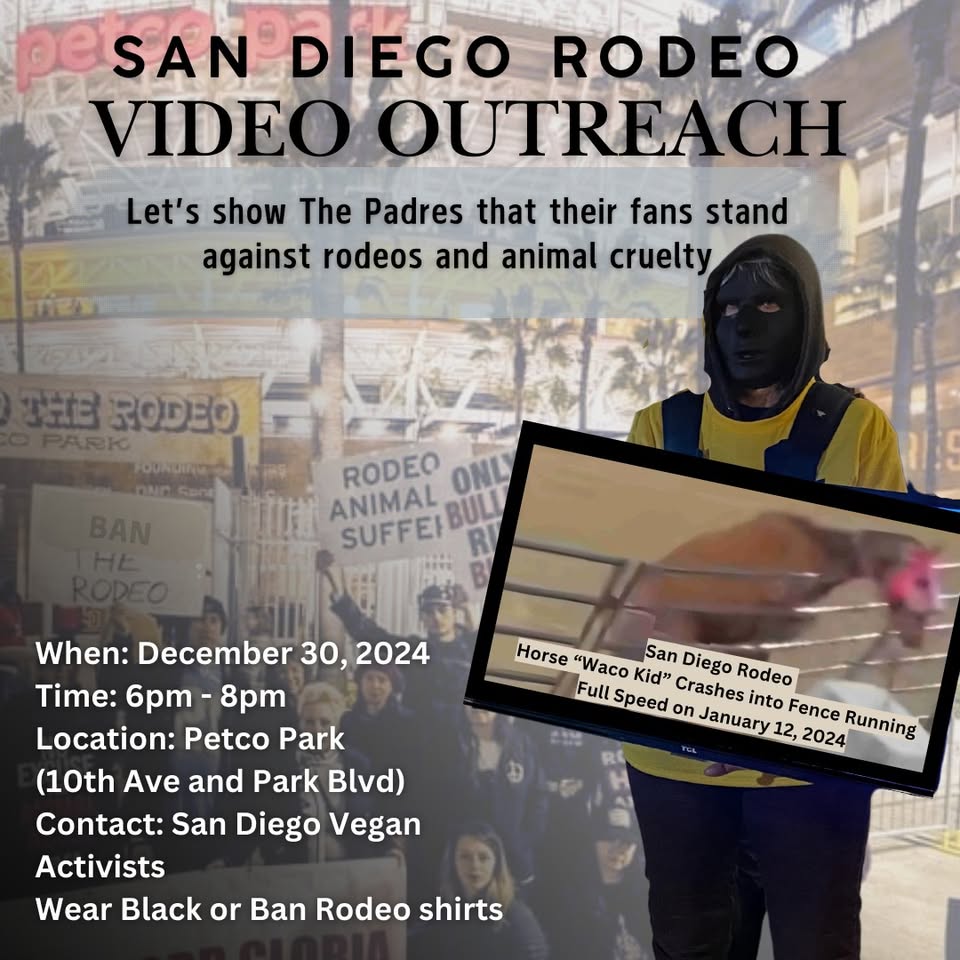 San Diego Vegan Activists