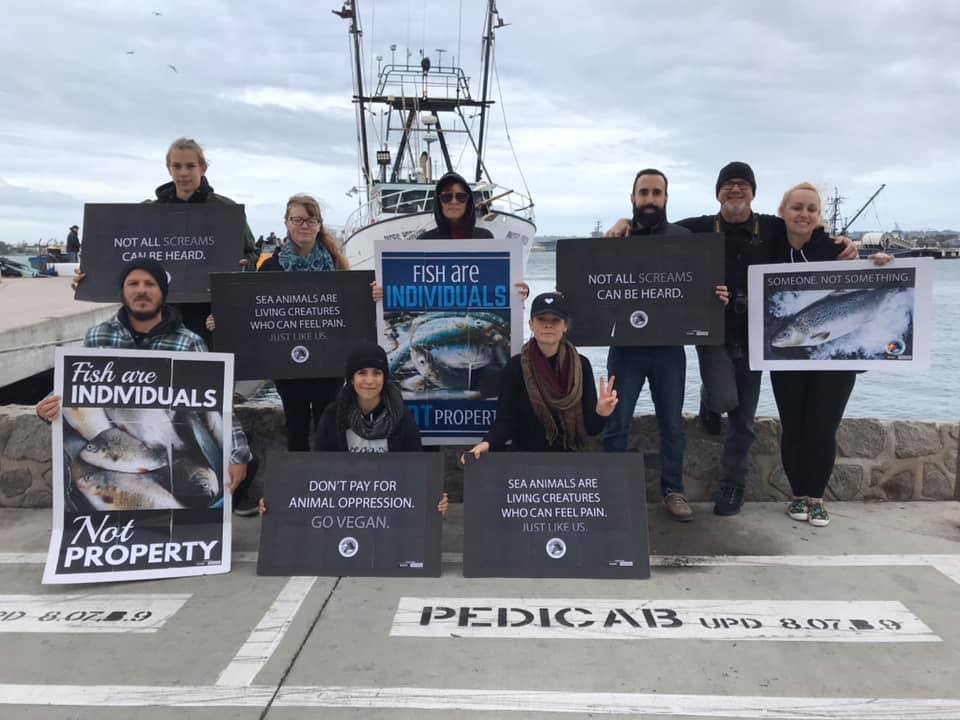San Diego Vegan Activists