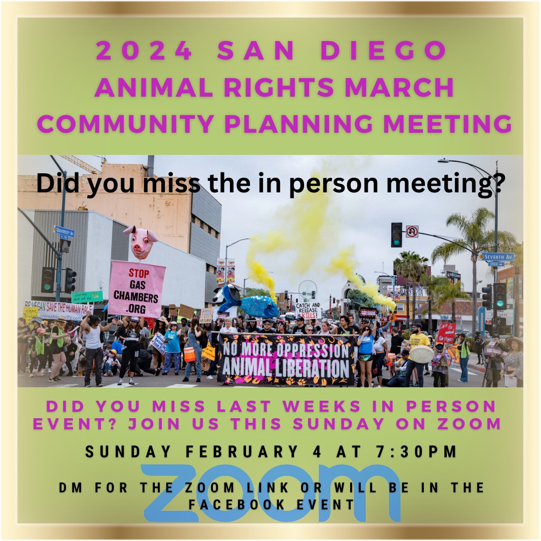 San Diego Vegan Activists