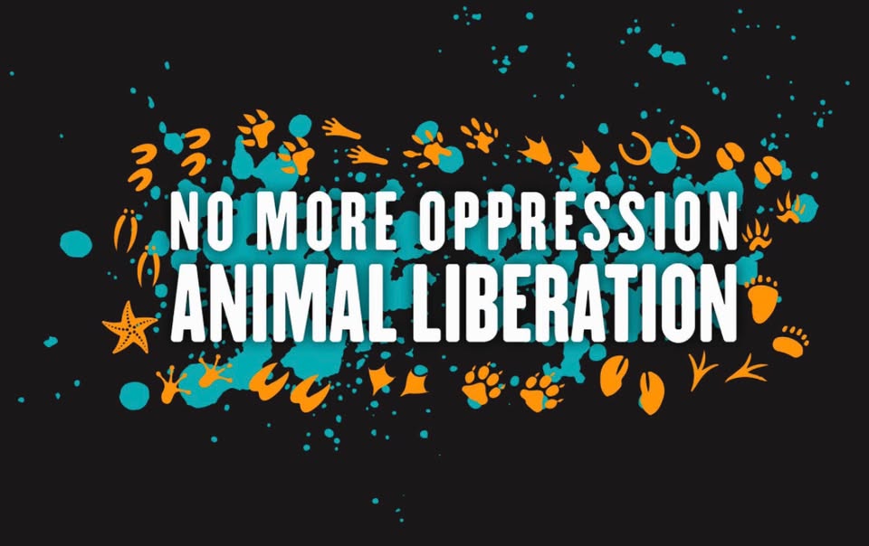 San Diego Vegan Activists