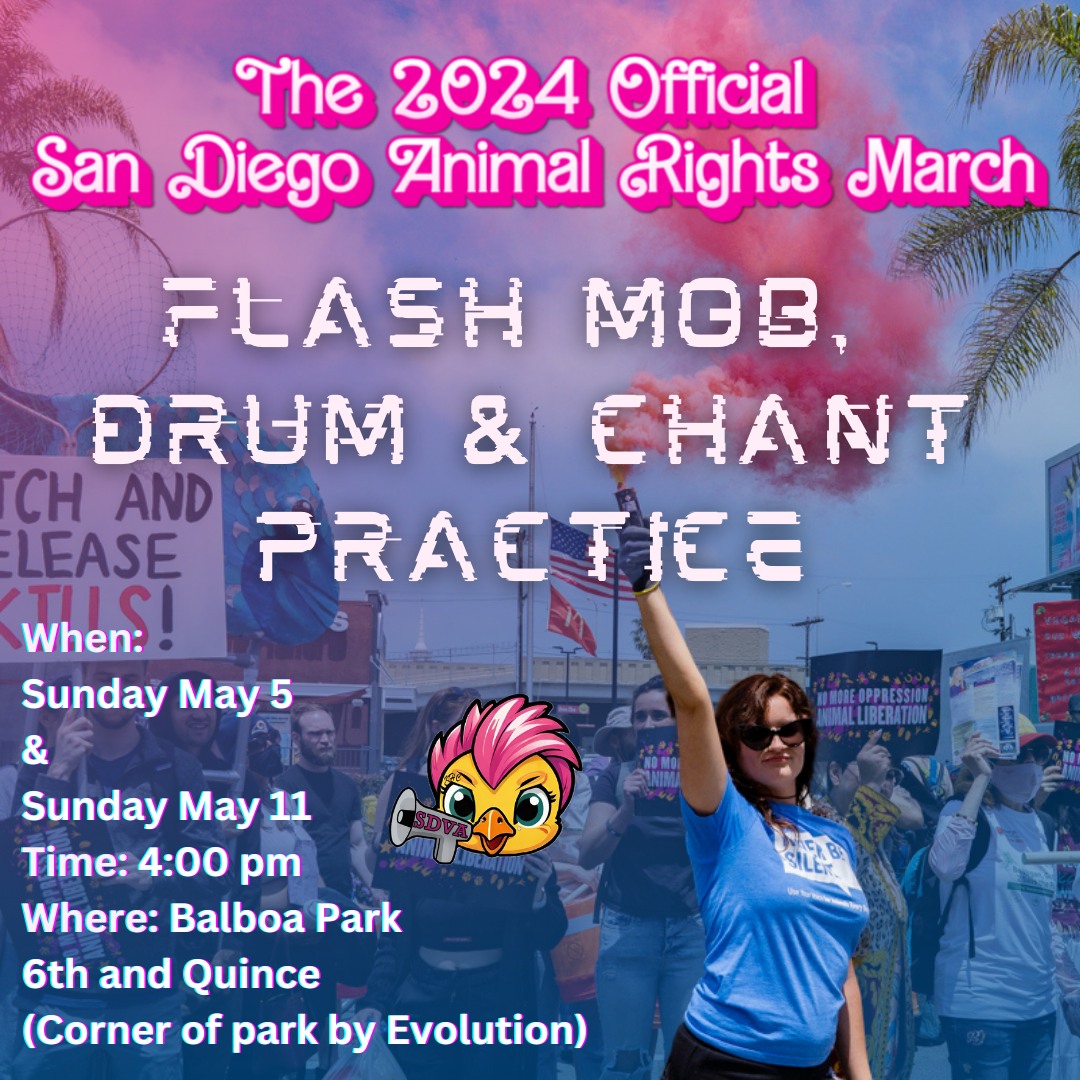 San Diego Vegan Activists