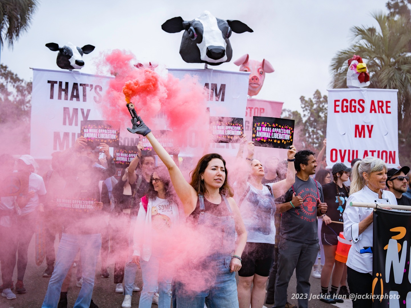 San Diego Vegan Activists