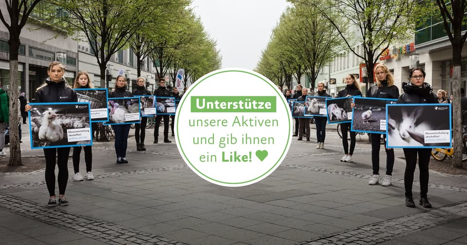 Albert Schweitzer Stiftung für unsere Mitwelt