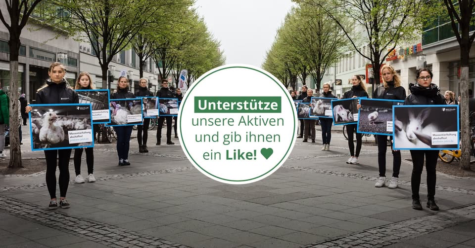 Albert Schweitzer Stiftung für unsere Mitwelt