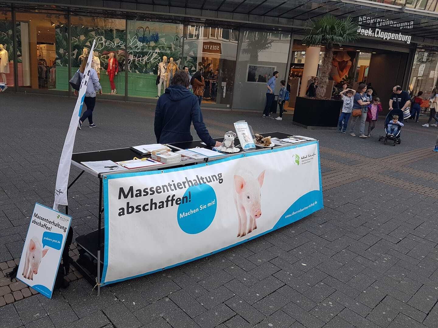 Albert Schweitzer Stiftung für unsere Mitwelt