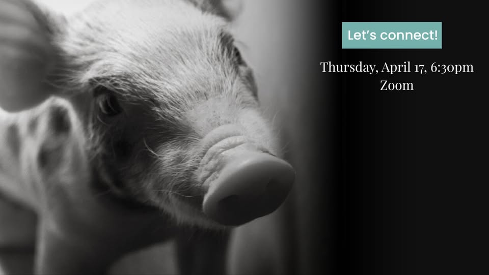 Animal Liberation