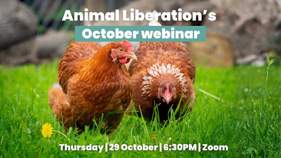 Animal Liberation