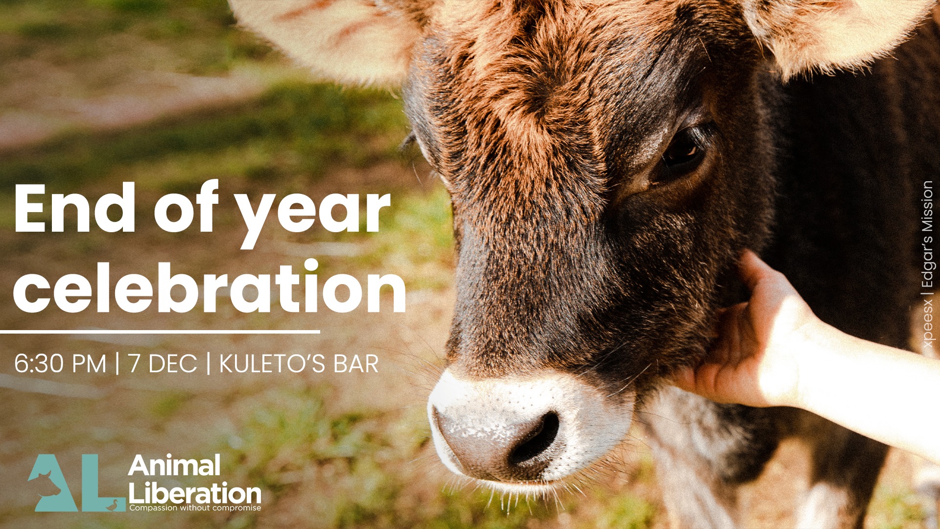 Animal Liberation