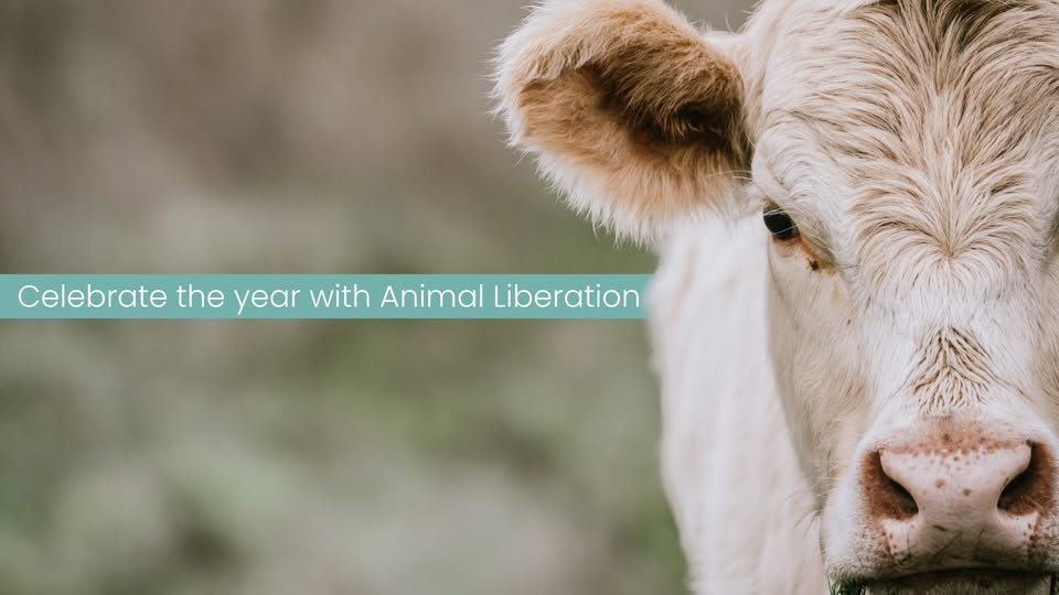 Animal Liberation
