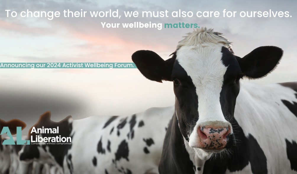 Animal Liberation