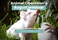 Animal Liberation