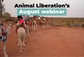 Animal Liberation