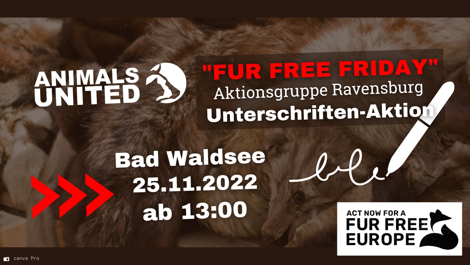 Animals United e.V.