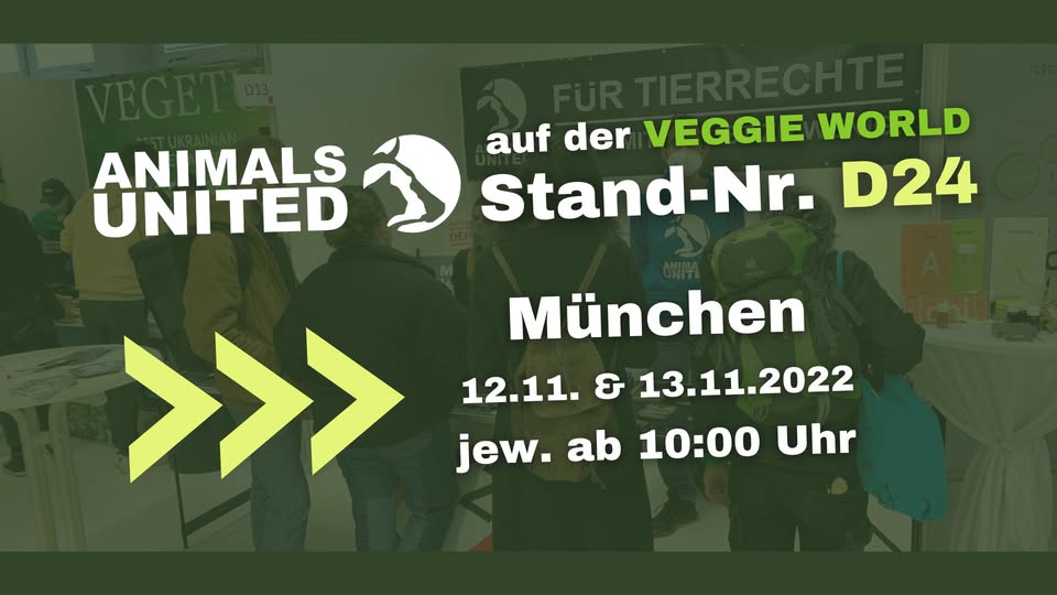 Animals United e.V.