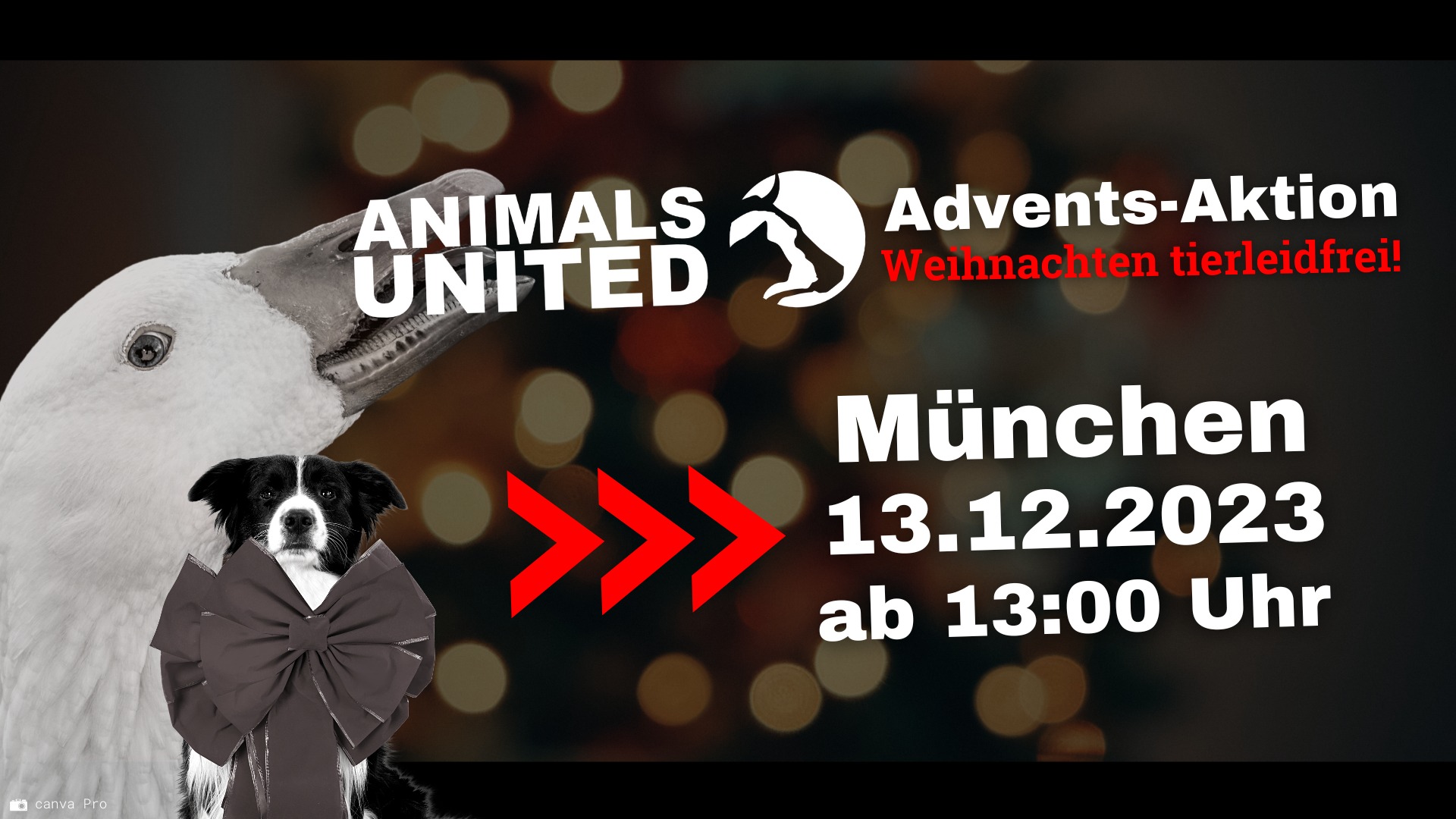 Animals United e.V.
