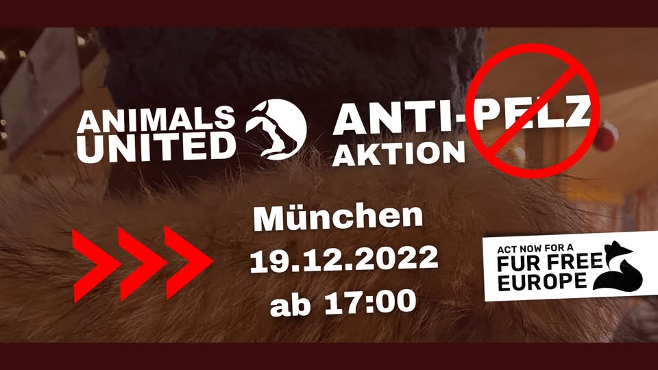 Animals United e.V.