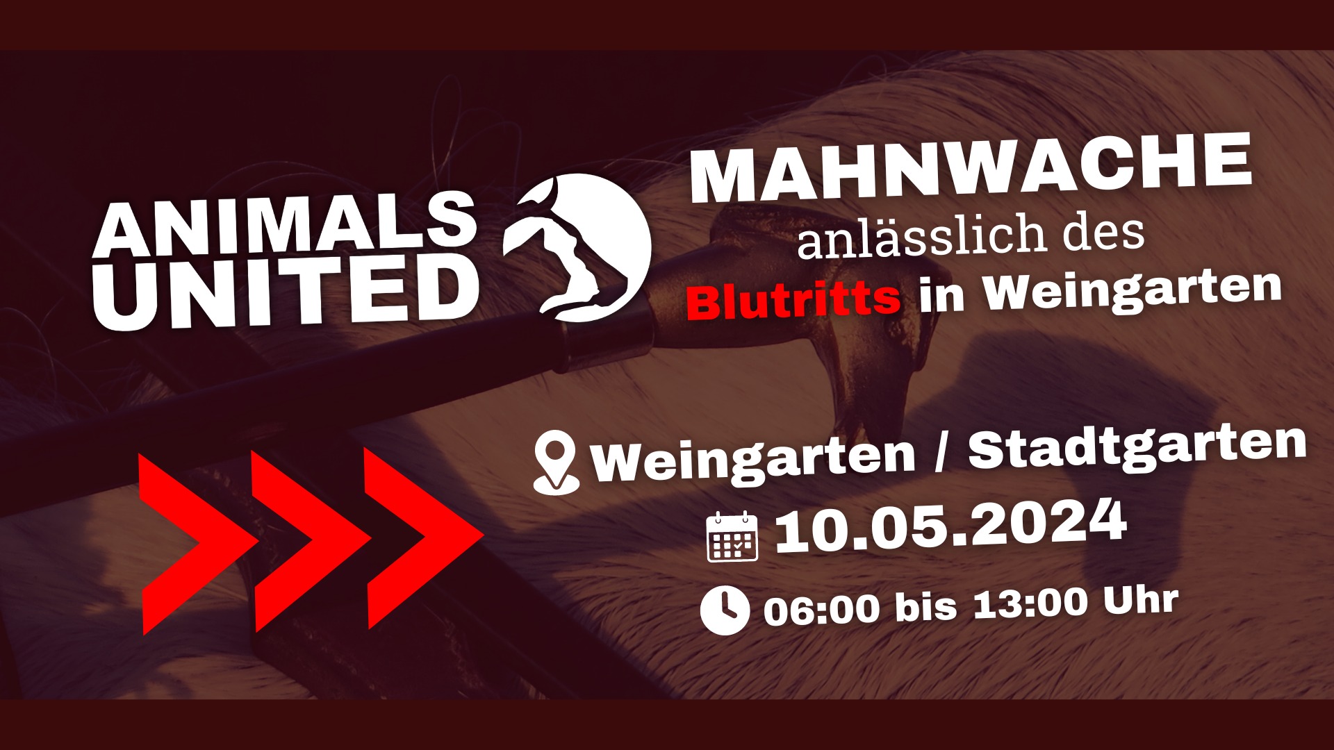 Animals United e.V.