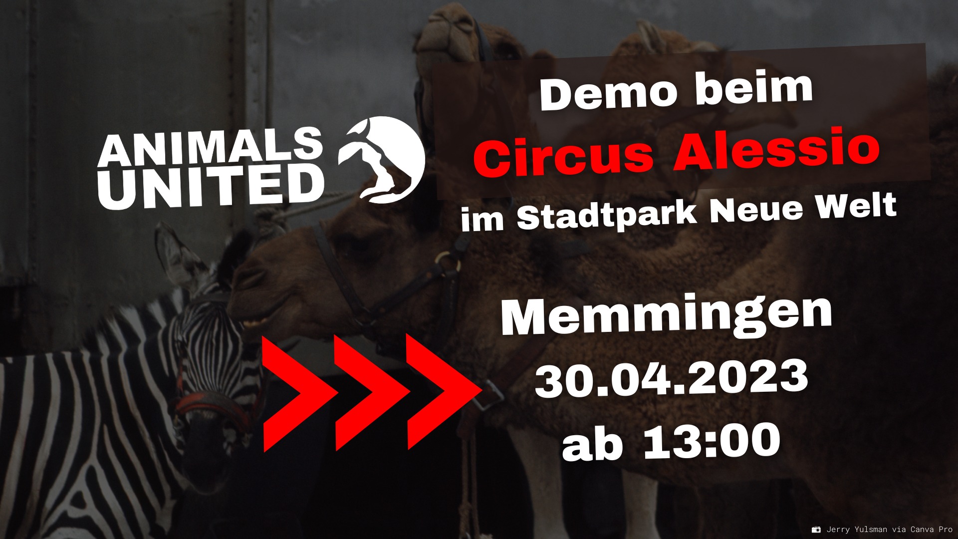 Animals United e.V.