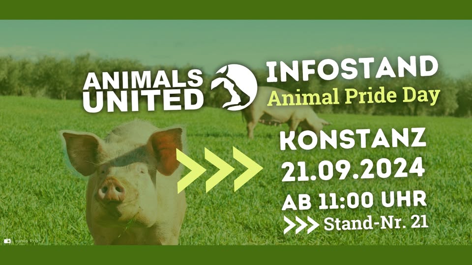 Animals United e.V.