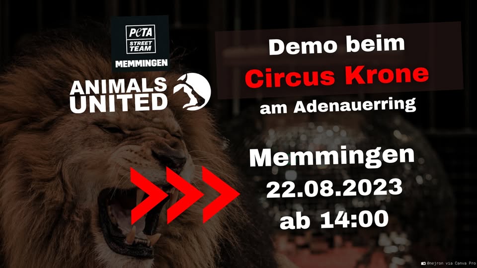 Animals United e.V.