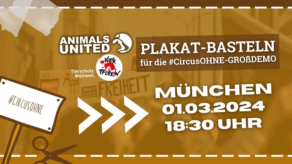 Animals United e.V.