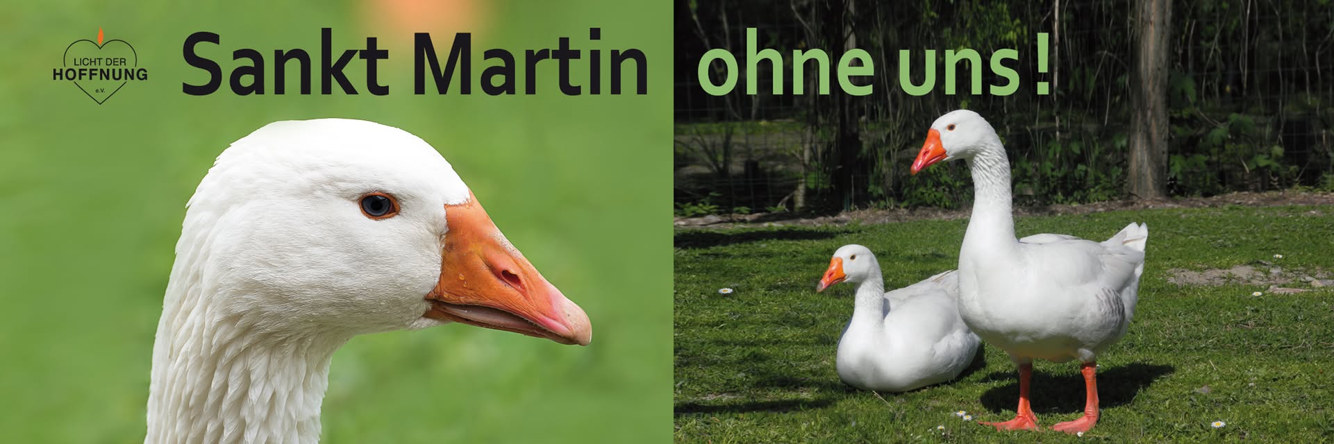Animals United e.V.