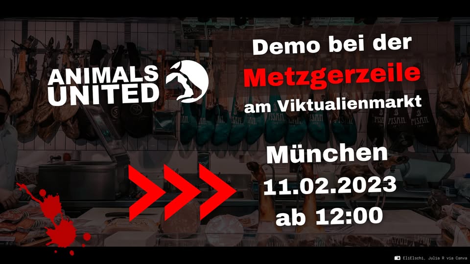 Animals United e.V.