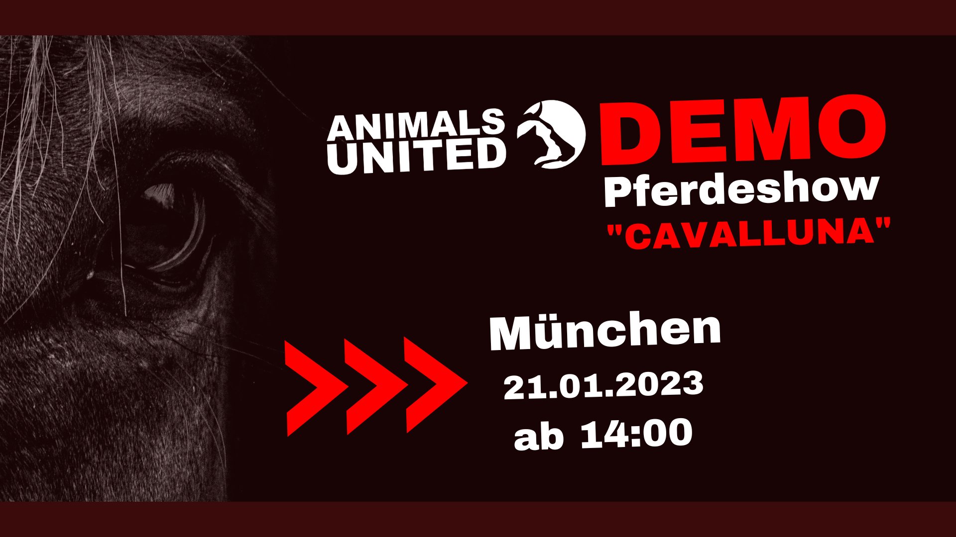 Animals United e.V.