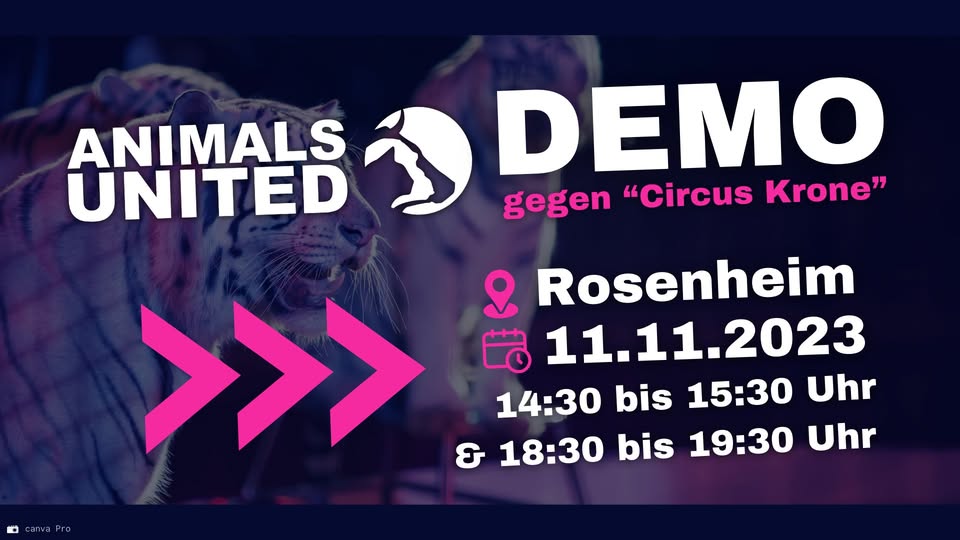 Animals United e.V.