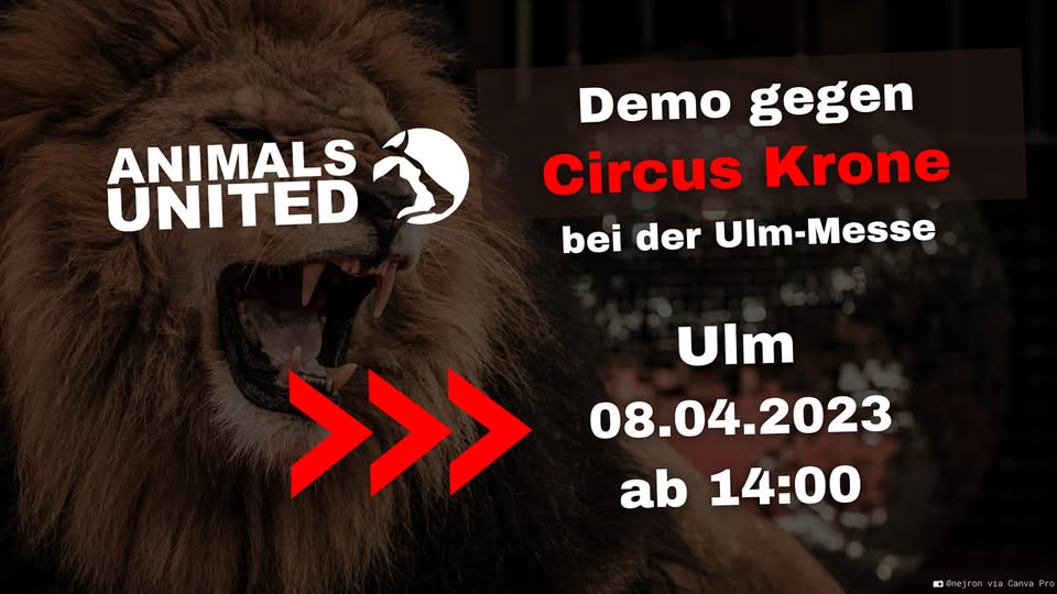 Animals United e.V.