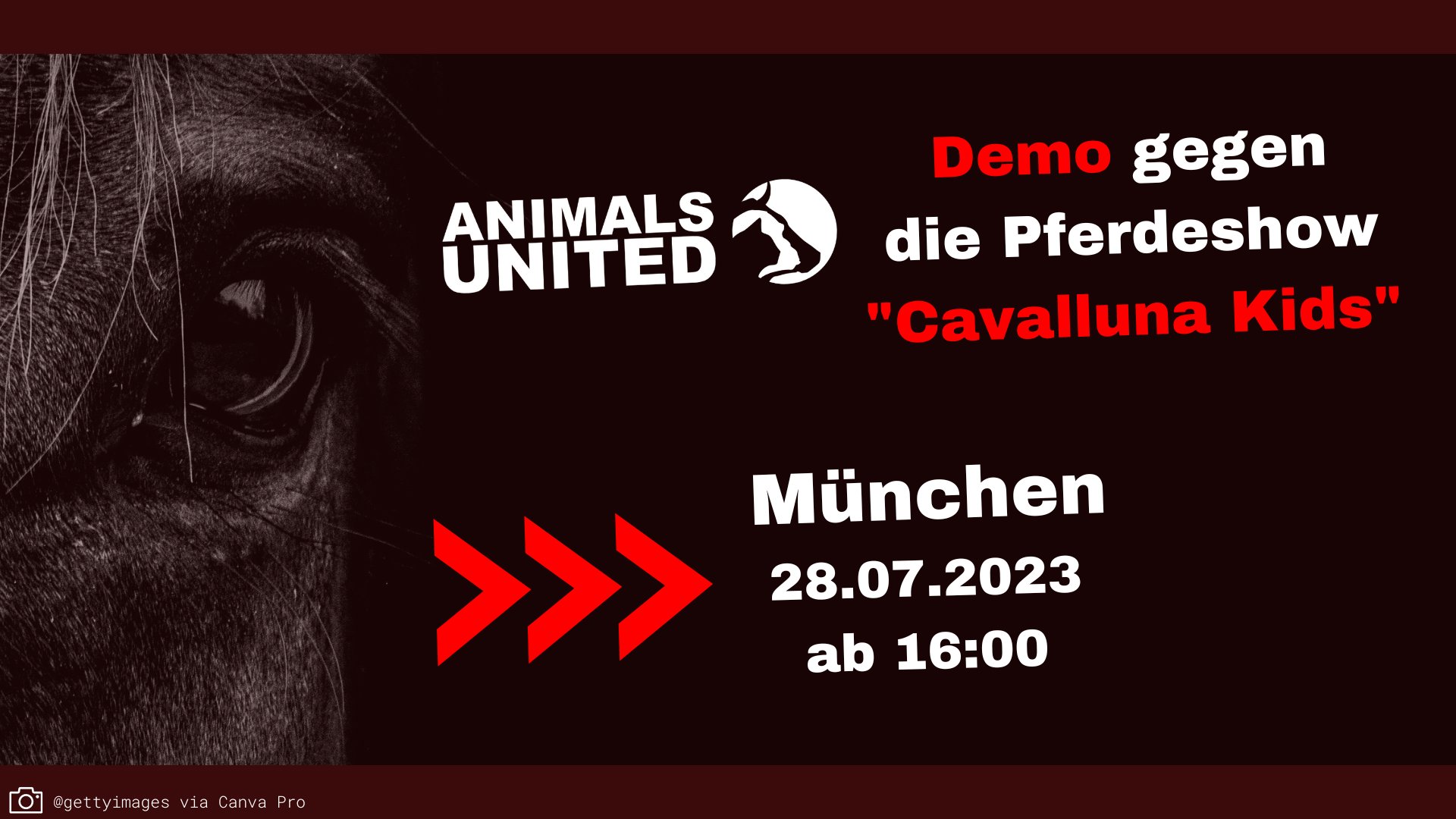 Animals United e.V.