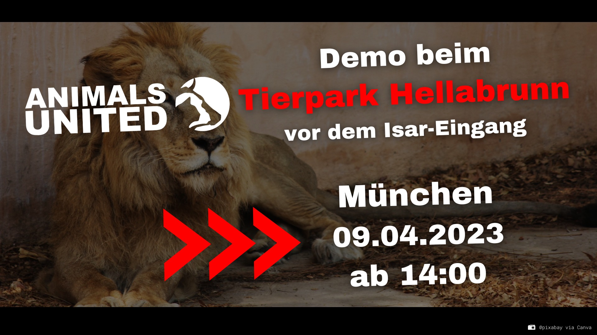 Animals United e.V.