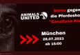 Animals United e.V.