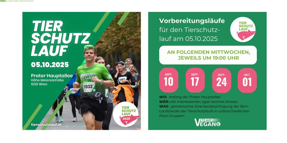 tierschutzlauf.at