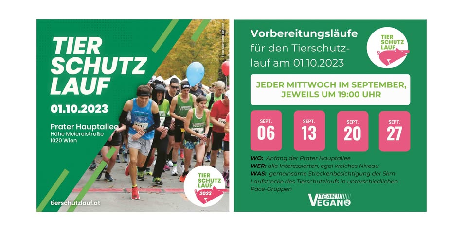 tierschutzlauf.at