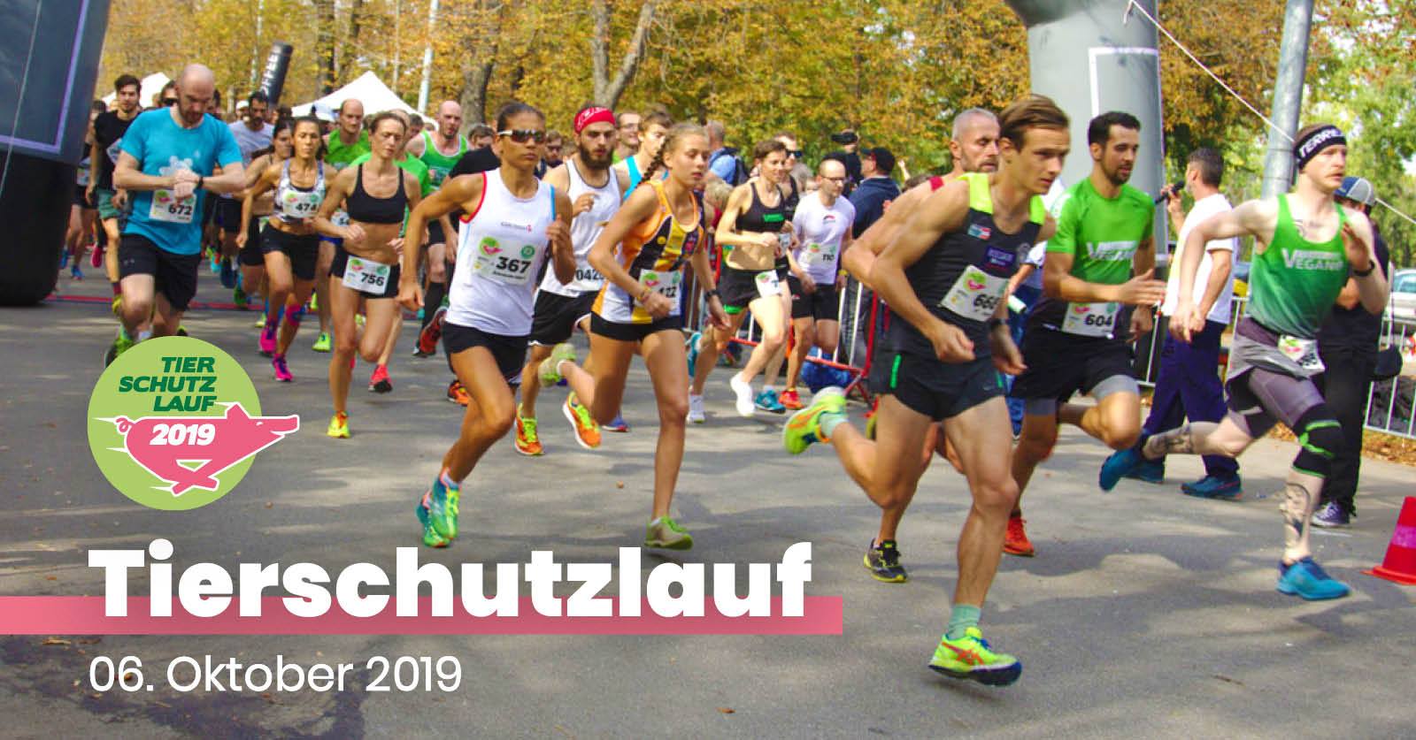 tierschutzlauf.at