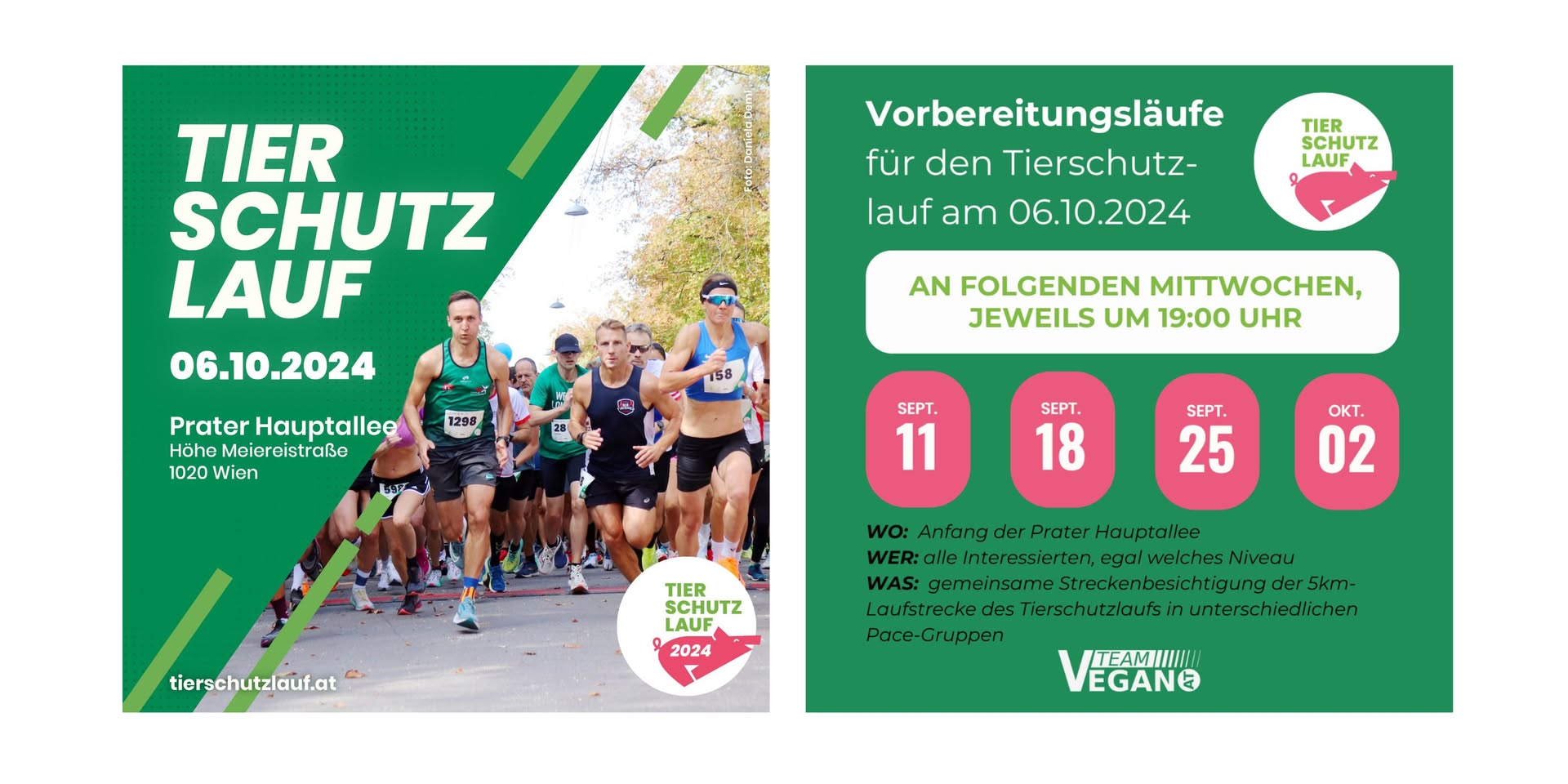 tierschutzlauf.at