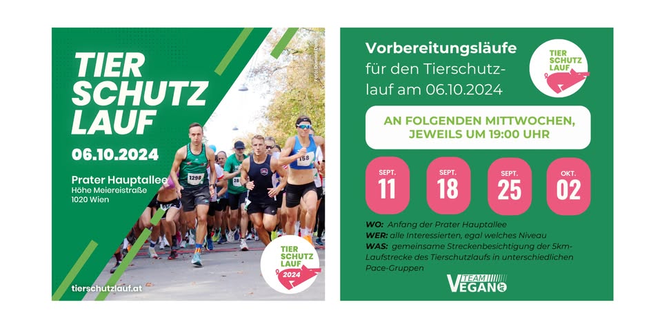 tierschutzlauf.at