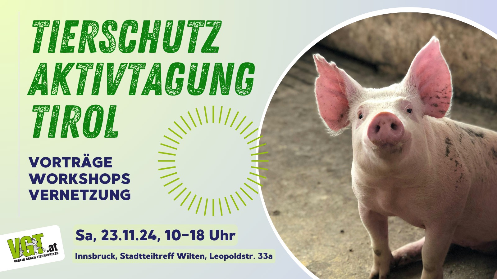 VGT Austria