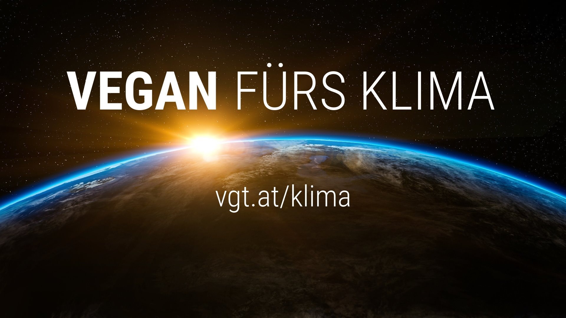 VGT Austria