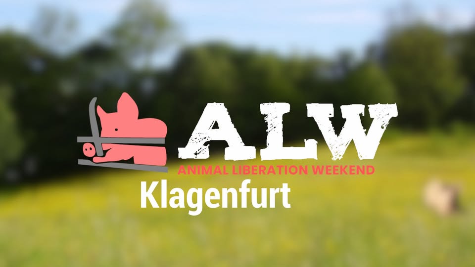 VGT Austria