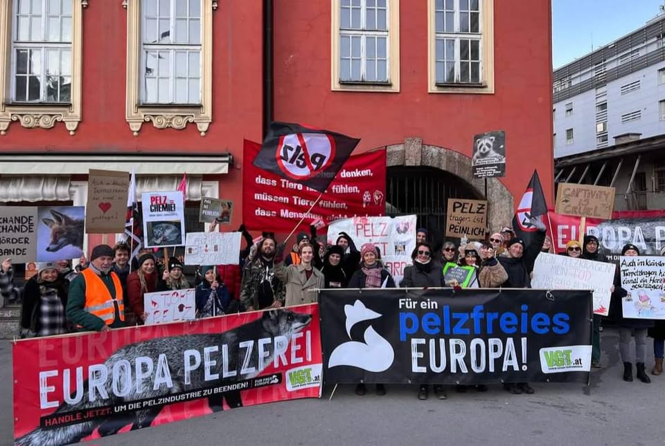 VGT Austria