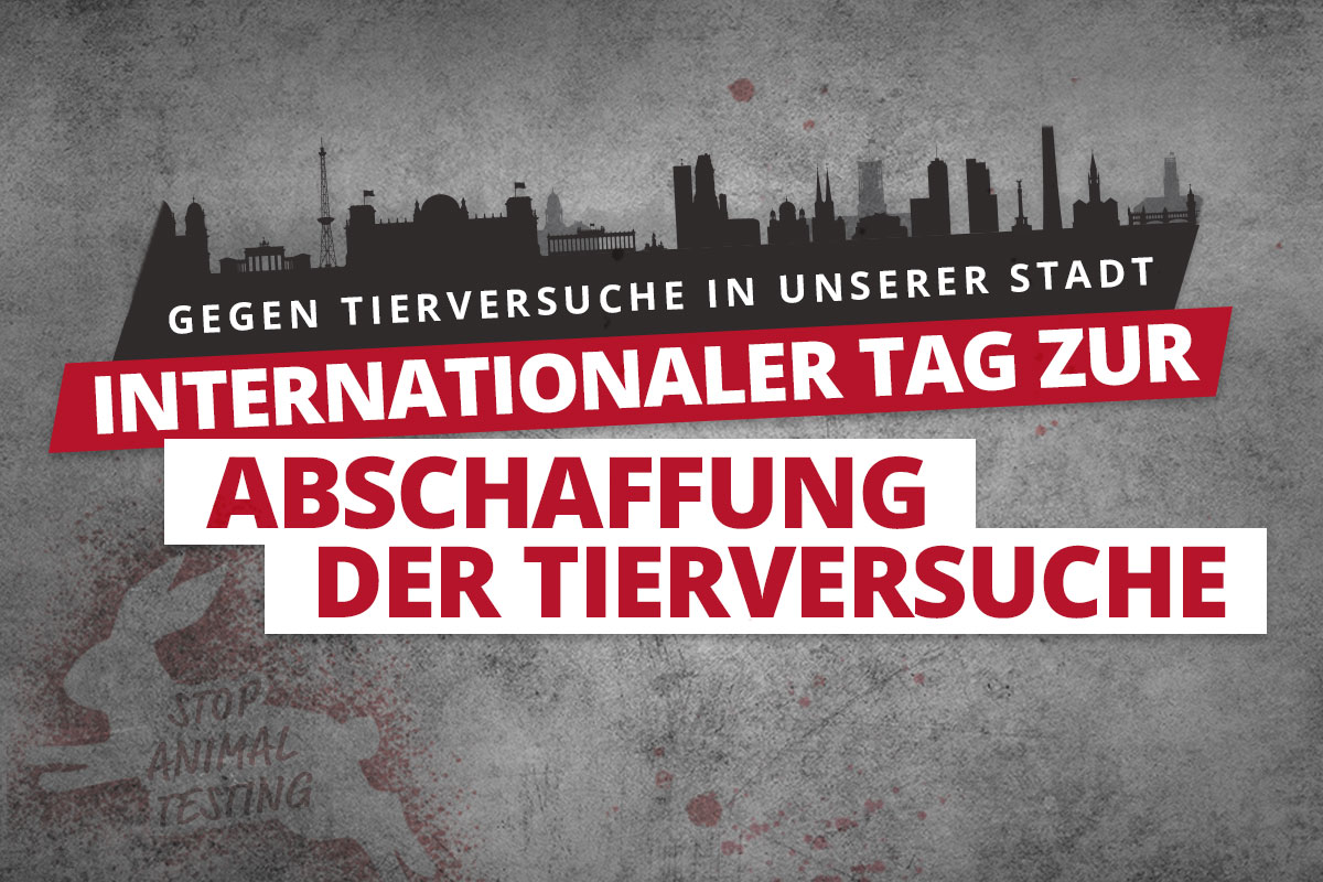 VGT Austria