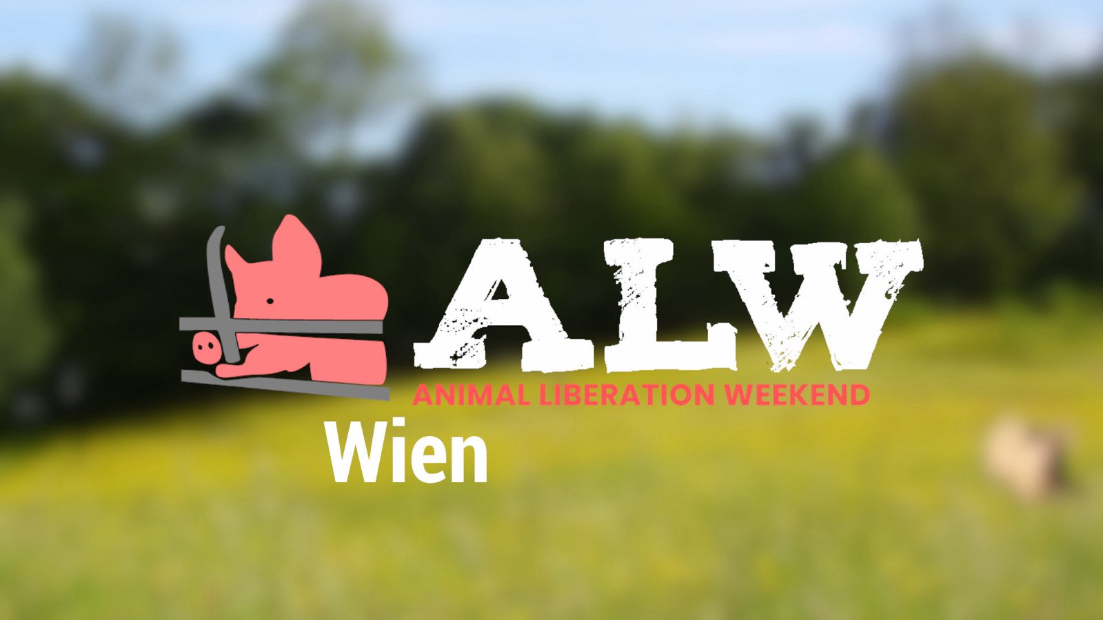 VGT Austria