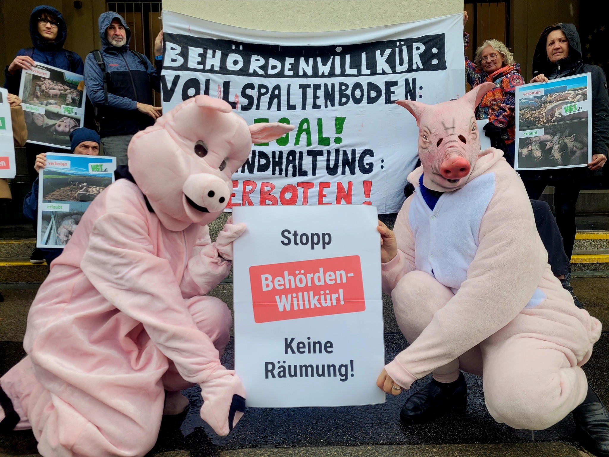 VGT Austria