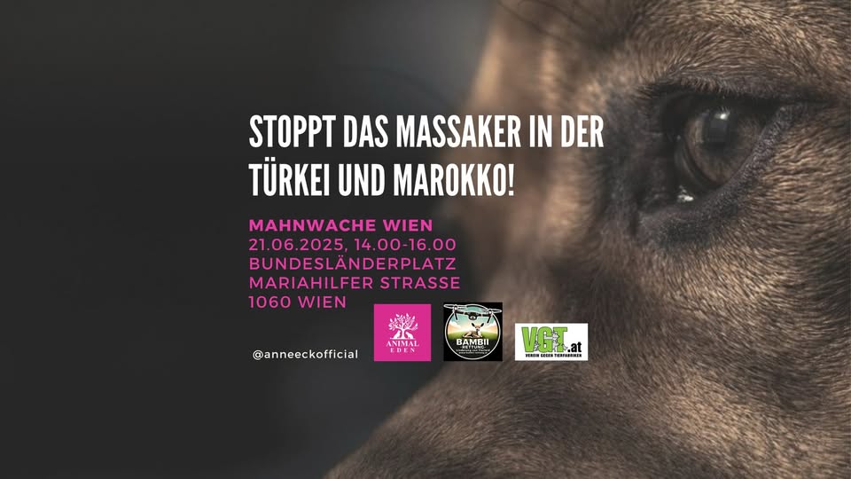 VGT Austria