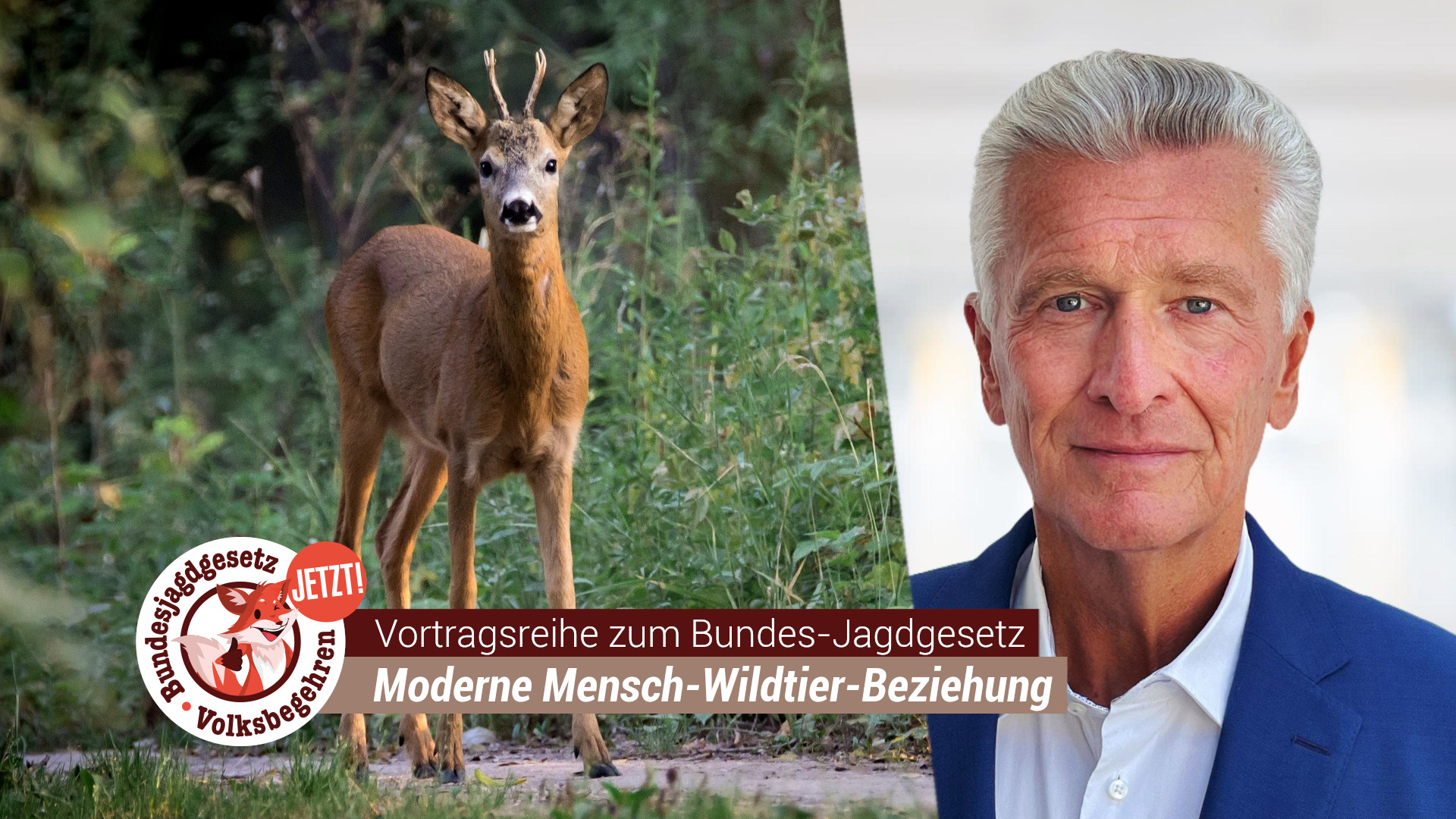 VGT Austria