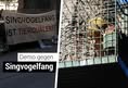 VGT Austria